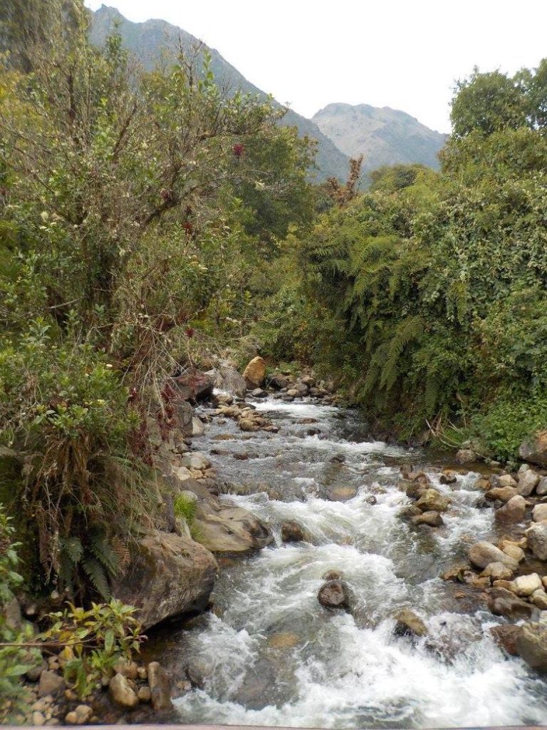 16602500_10212458285391905_9016556317691896427_o