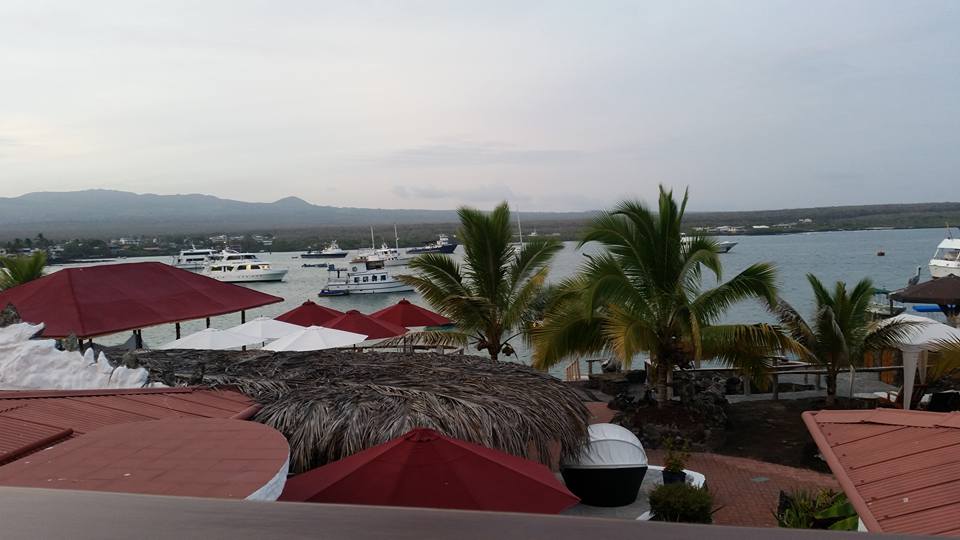 16603043_10212403521142833_172983270717049223_n