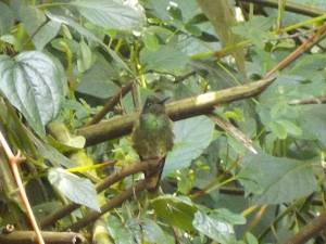 16715917_10212458287751964_454619758972162163_o