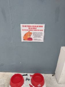 18557226_10213520334422467_5547991093904067578_n