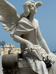 18581905_10213520335382491_5078653941012147581_n