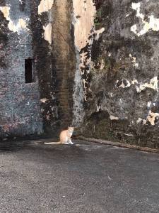 18581994_10213520337422542_6601793816540511797_n