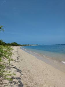 18582012_10213510869825858_817372073271942344_n