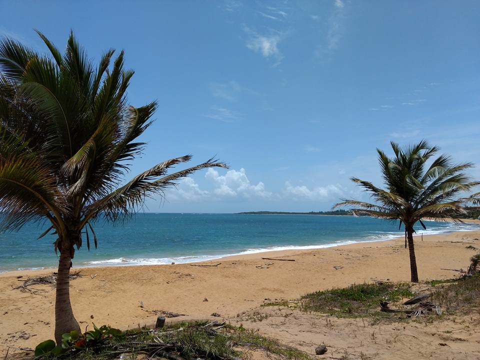 18619936_10213499940352628_7473571511318639816_n