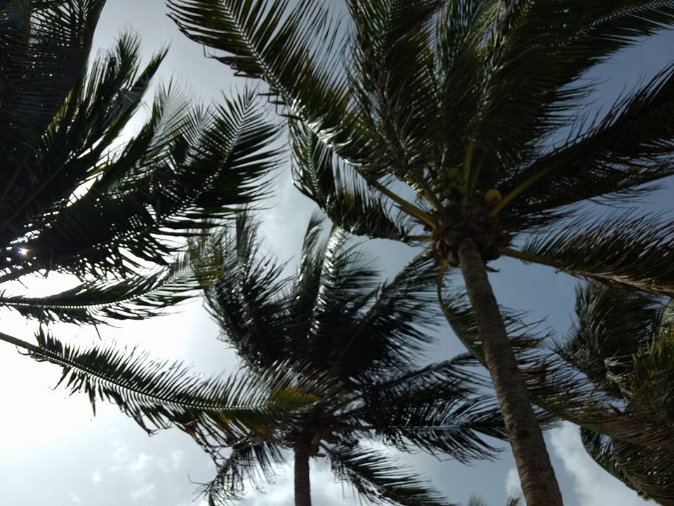 Puerto Rico: The Land of Beautiful Beaches and Fried&nbsp;Food