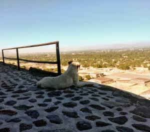 29542139_10216423423157871_8171890151450919818_n